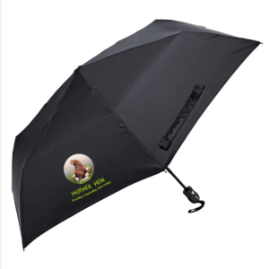 Umbrella